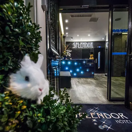 Splendor Elysees 3*