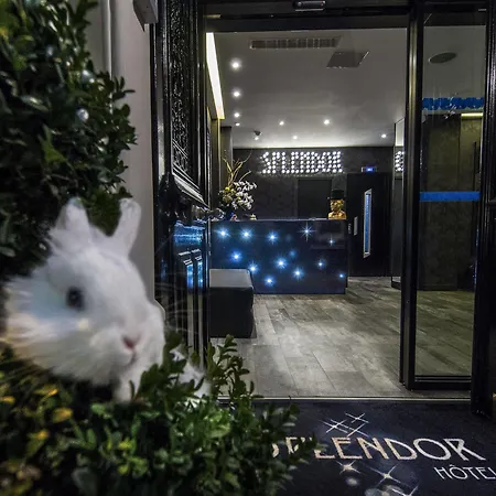 Hotel Splendor Elysees 3*